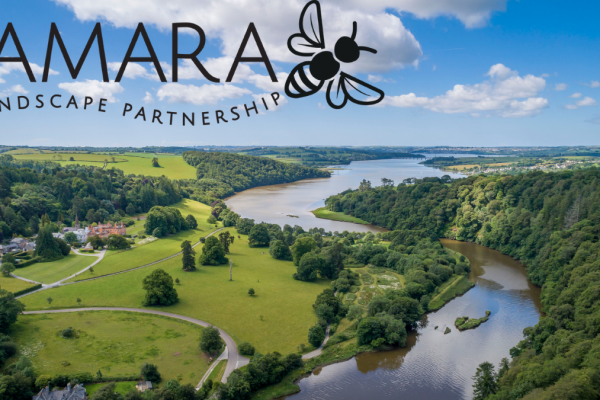Tamara-launch_for-events-pg-on-website