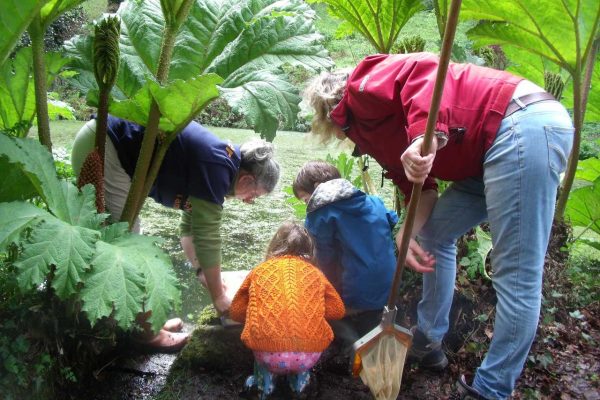 aonb event pond dipping web image